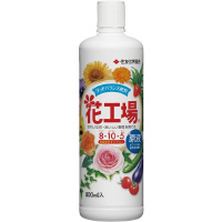 ԍHꌴt@QOTTPXV@P{