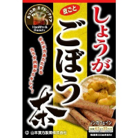 R{@傤ڂ@eB[obO@SDTQO