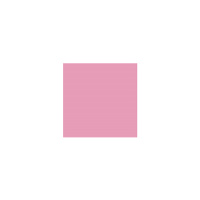 X}[go[@PF肪݁@J[l[VPOO@aQUOiRV@PpbNiPOOj