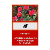 ATq@ATq܁@ց@PO@USRSQWWQ@pi@̑֘Ai@P