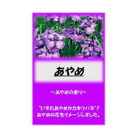 ATq@ATq܁@߁@PO@USRSQWVT@pi@̑֘Ai@P