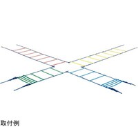 カラースピードラダー