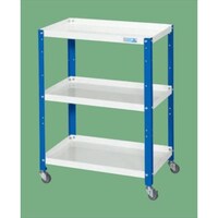 ライトワゴン(ツートン)