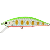 �W���N�\���@���e�I�[���@�W�O�@�r�k�x�@���C�����}���@�S�T�P�P�V�Q�X�U�T�S�P�X�Q�@���W���[�p�i�@�P��