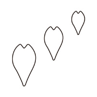 AY@@Rob@̉Ԃт@UQWQRPRX@PiPj