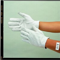 �����ӂ���܁@�s�b�O�X�L���N���X�g��܁@���S�P�W�@��܁@�P�o