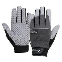 �����ӂ���܁@�j�W�U�@�l�e��܁{�V���R���S���@�O���[�@�k�@�j�W�U�@��܁@�P�o