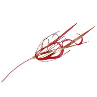 �g�`�x�`�a�t�r�`�@�t���[�X���C�h�@�l�N�^�C�t�b�N�Z�b�g�@�c�C���J�[�����X�g���[�g�@�r�d�P�W�T�@�o�C�g���b�V�����b�h�@�r�d�P�W�T�T�@���W���[�p�i�@�P��