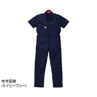 RcC@ꎮȂ@lCr[u[@R