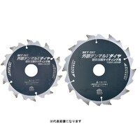 外装デンマルVダイヤ