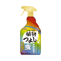 A[X@A[XK[f낢ȐA悵