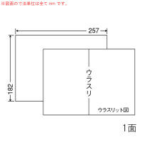 m@iiRs[@Ĕ@bPaTe