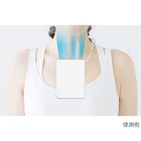 �g�ѐ�@�@�n���Y�t���[�@�l�b�N�e�`�m�@�r�e�g�e�P�O�@�v�s