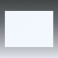 TTvC@vWFN^[XN[i}Olbgj