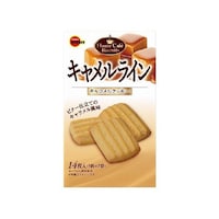 �u���{���@�u���{���@�L���������C���@�P�S���~�T