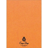 ヒサゴ 名刺10面 クラッポドロップ オレンジ QP004S 1冊(10枚入)