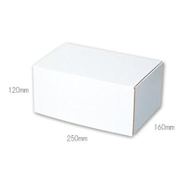 フリーBOX F−77 10枚