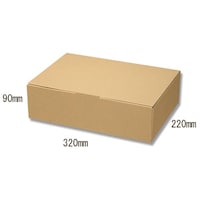 ナチュラルBOX ECO・Z−7 10枚