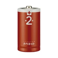 アルカリ乾電池エコノミータイプ単2形 10本×10