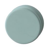 �R�N���@�ǂɂ���}�O�l�b�g�i�ہj�@�O���[���~�P�O