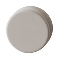 �R�N���@�ǂɂ���}�O�l�b�g�i�ہj�@�O���[�W���~�P�O