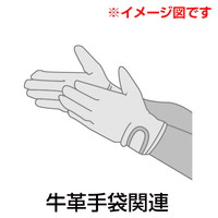 j[h@w̋Ɂ@ICuEvwD@jrSTQ