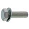 mini photo