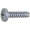 mini photo