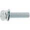 mini photo