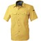 mini photo