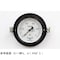 mini photo