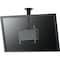 mini photo