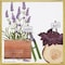 mini photo