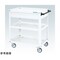 mini photo