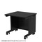 mini photo