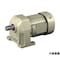 mini photo