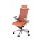 mini photo