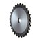 mini photo