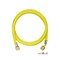 mini photo