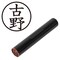 mini photo