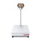 mini photo