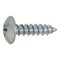 mini photo