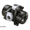 mini photo