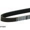 mini photo
