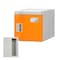mini photo