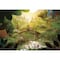 mini photo