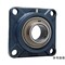 mini photo