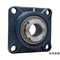 mini photo