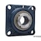 mini photo