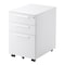 mini photo